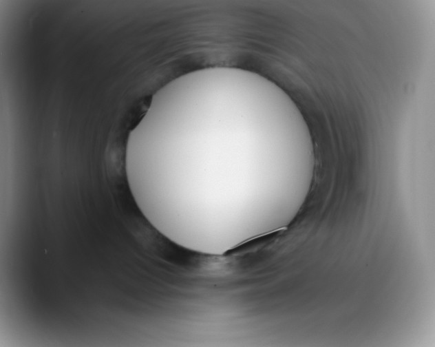 X0000089850096200707191910