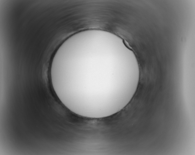 X0000089850098200707191909