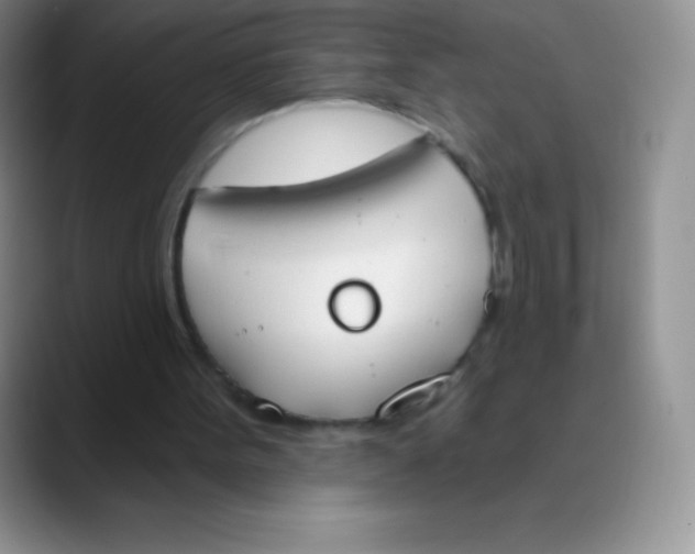 X0000089850099200707191909