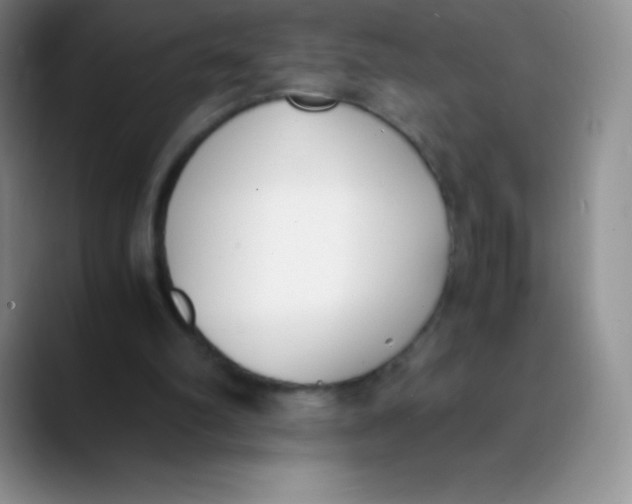 X0000089850102200707191909