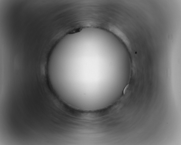 X0000089850105200707191909