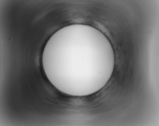 X0000089850106200707191909