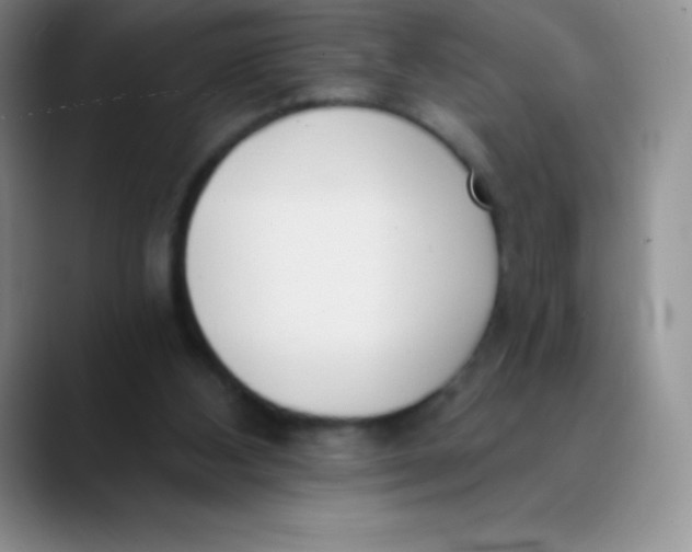 X0000089850108200707191909