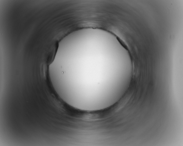 X0000089850109200707191909