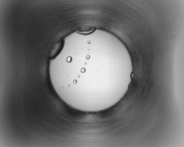 X0000089850111200707191909