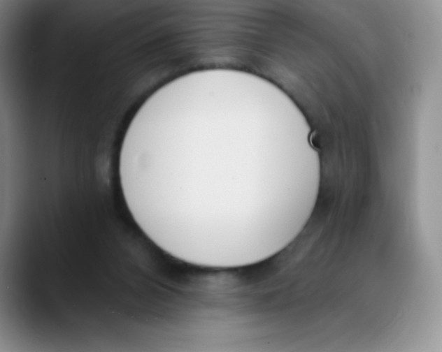 X0000089850112200707191909