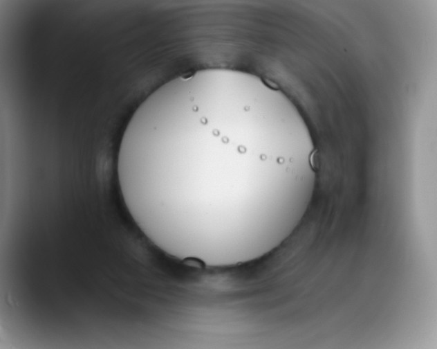 X0000089850113200707191909