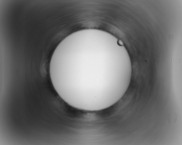 X0000089850114200707191909