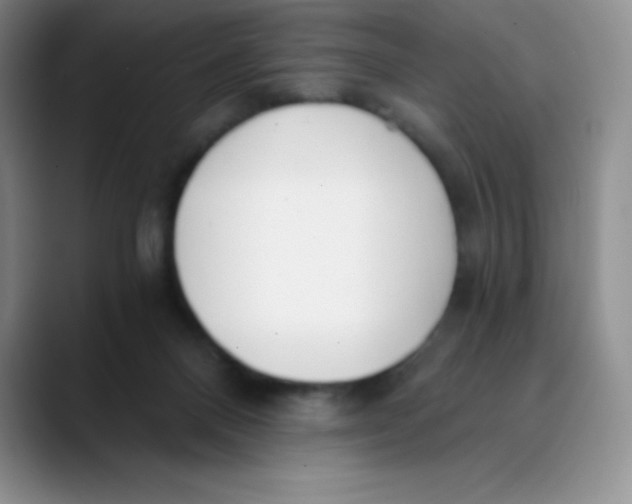 X0000089850120200707191909