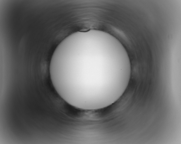 X0000089850121200707191909