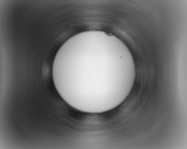 X0000089850123200707191909