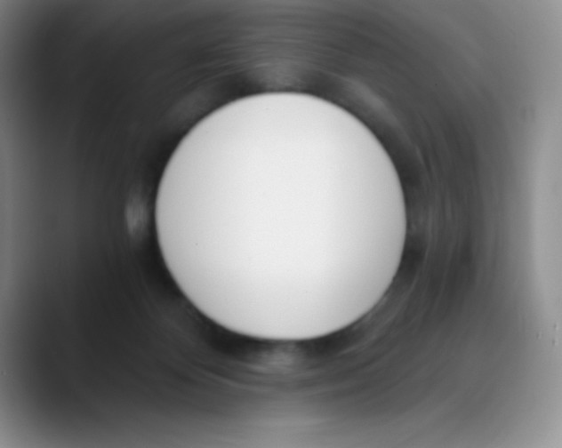 X0000089850124200707191909