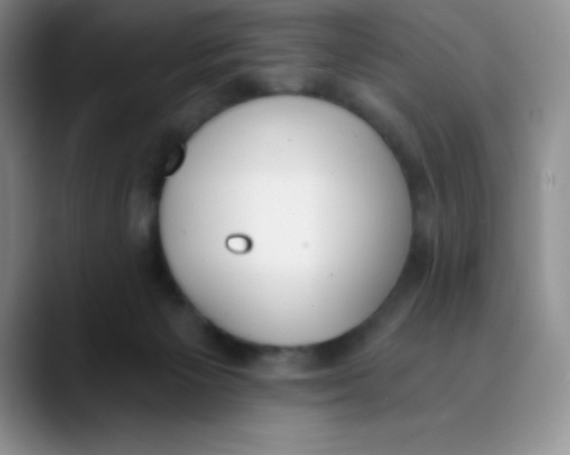 X0000089850125200707191909