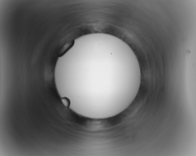 X0000089850129200707191909