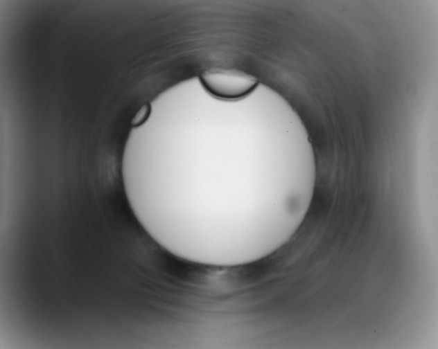 X0000089850130200707191909