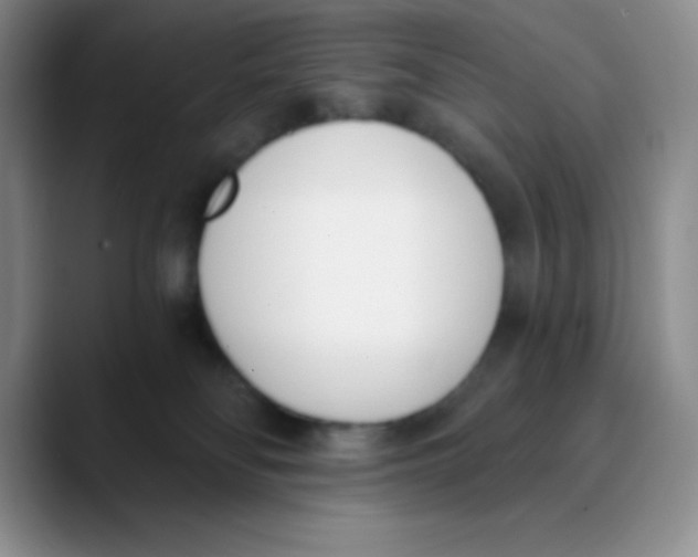 X0000089850134200707191909