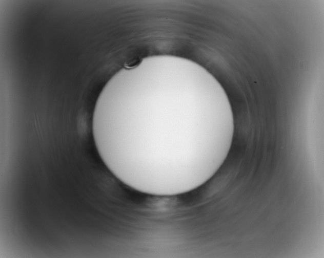 X0000089850135200707191909