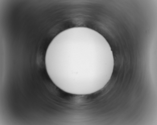 X0000089850136200707191909