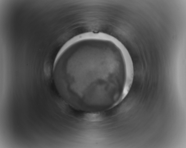 X0000089850139200707191909