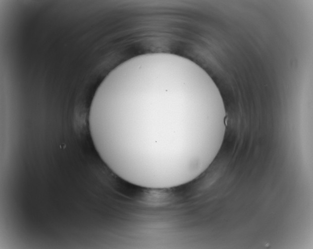 X0000089850141200707191909