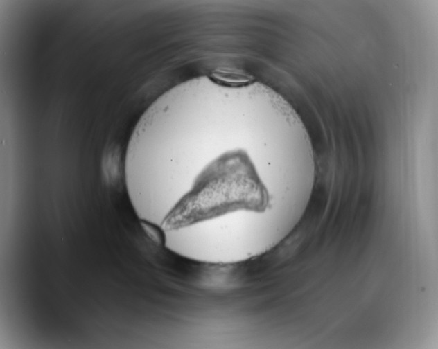 X0000089850143200707191909