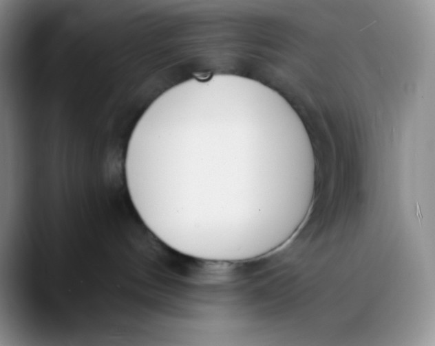 X0000089850144200707191909