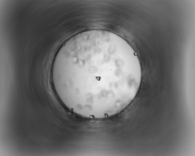 X0000089850145200707191908