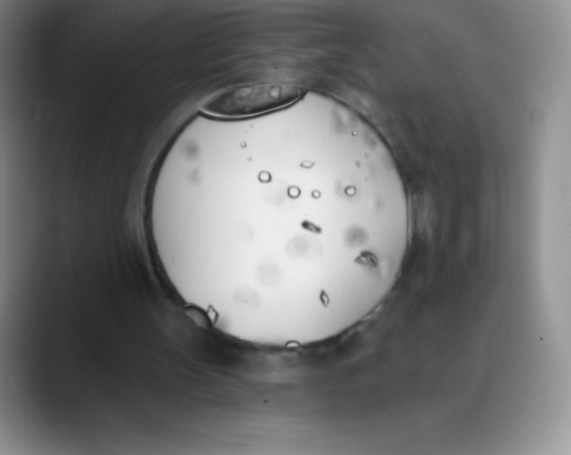 X0000089850147200707191908