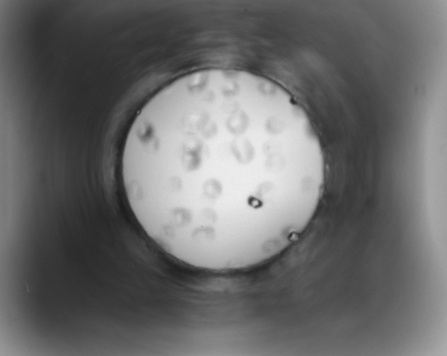 X0000089850149200707191908