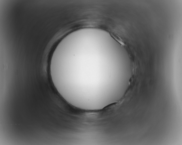 X0000089850150200707191908