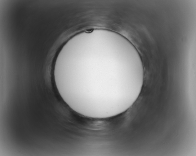 X0000089850151200707191908