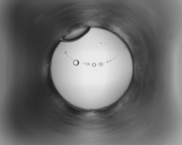 X0000089850153200707191908