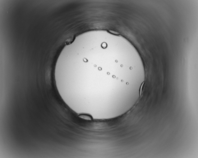 X0000089850154200707191908