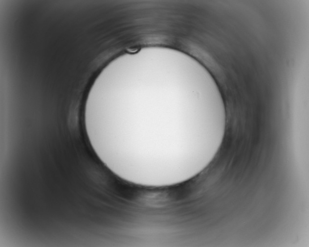 X0000089850155200707191909