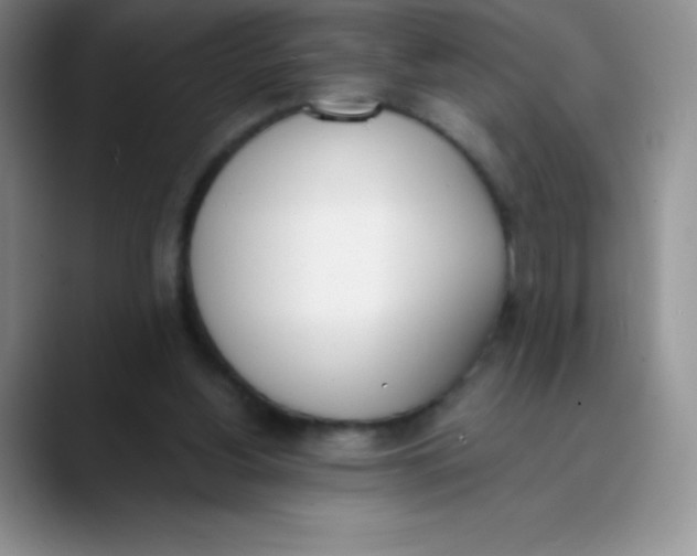 X0000089850156200707191909