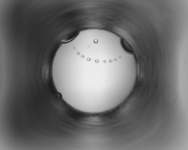 X0000089850157200707191909