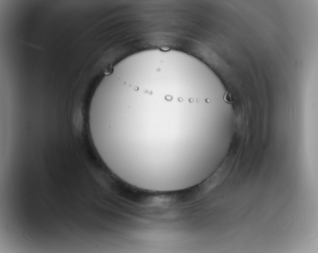 X0000089850158200707191909