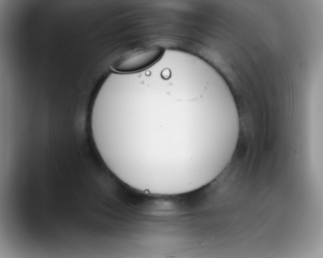 X0000089850159200707191909