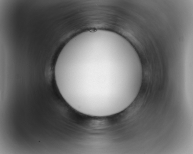 X0000089850160200707191909