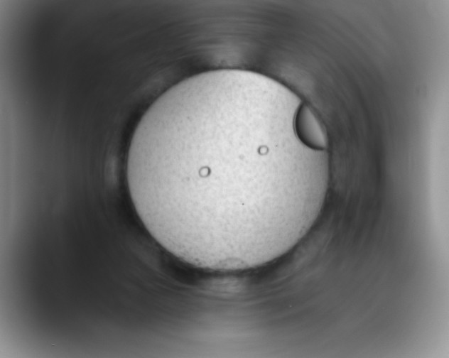 X0000089850161200707191909