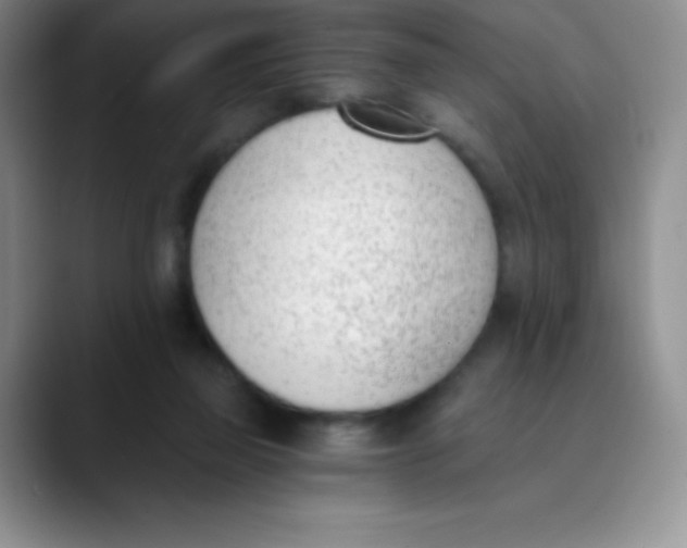 X0000089850165200707191909