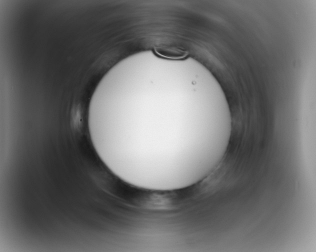 X0000089850166200707191909