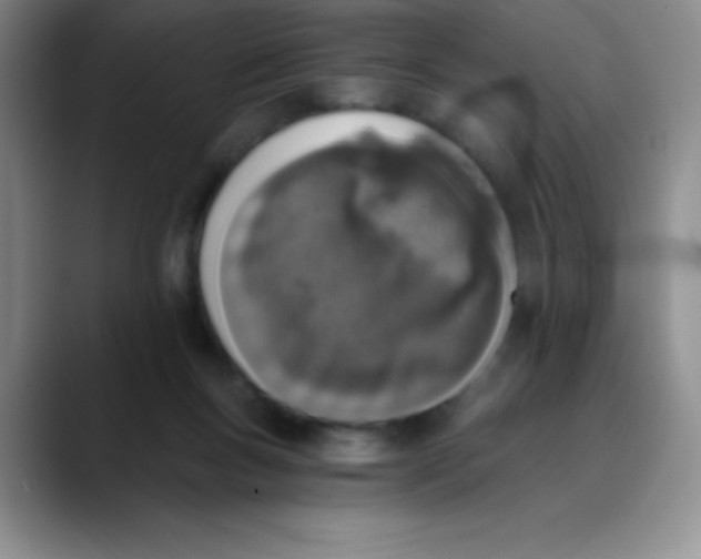 X0000089850167200707191909