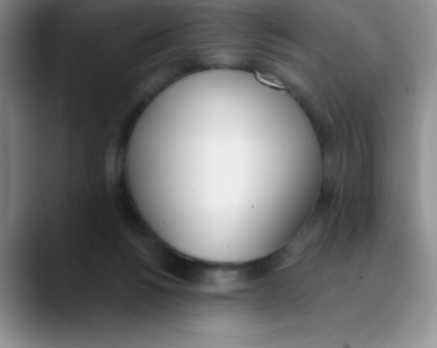 X0000089850168200707191909