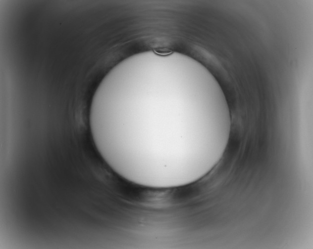 X0000089850170200707191909