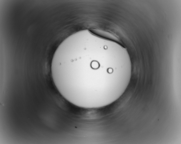 X0000089850173200707191909