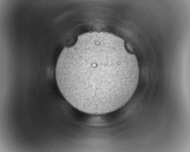 X0000089850177200707191909