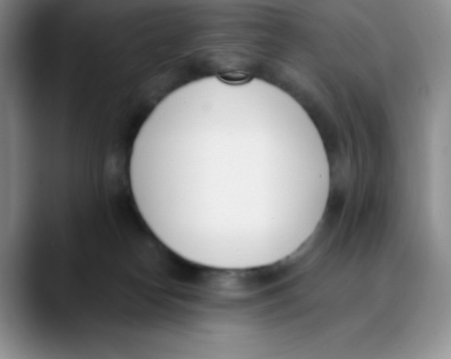 X0000089850182200707191909