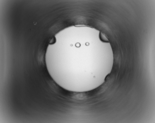 X0000089850185200707191909