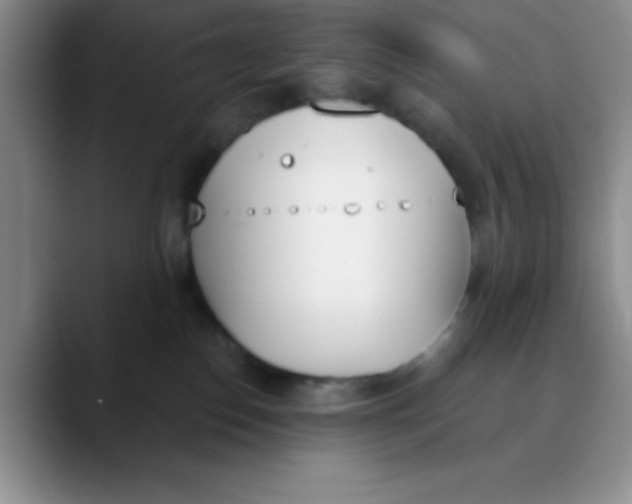 X0000089850186200707191909